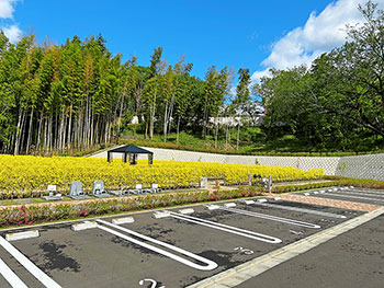 しば区 寸景