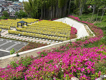 つつじが美しい5月の園内